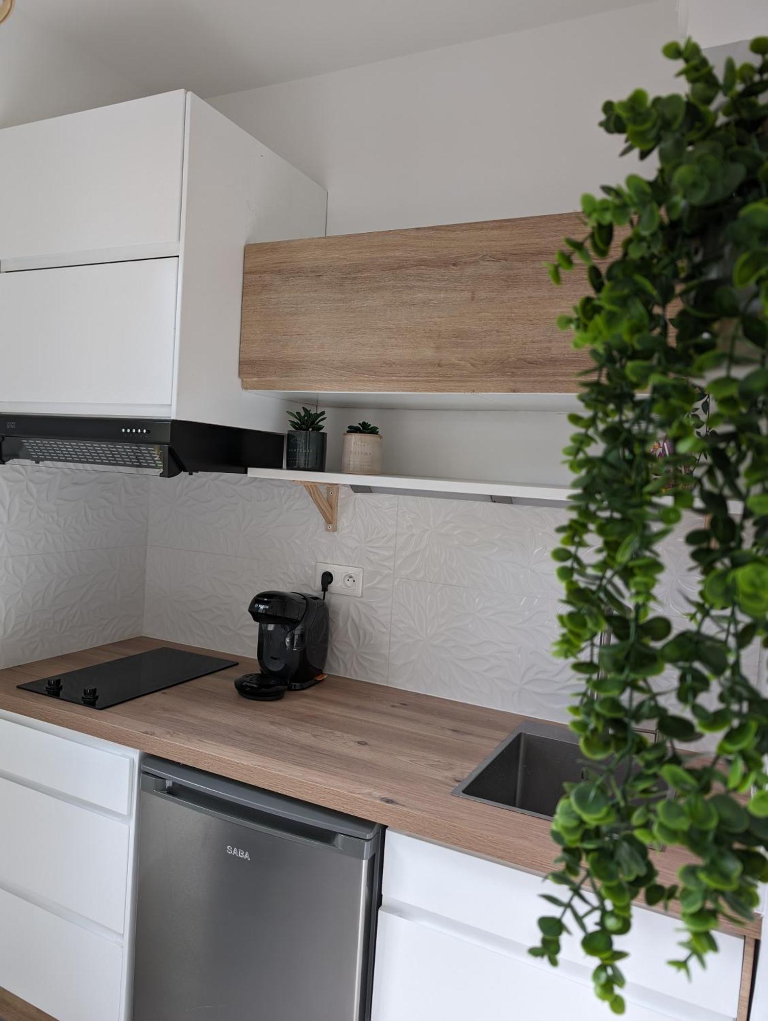 Appartement Cosy Au Calme A Cote Du Zoo Avec Balcon Et Parking Securise Montpellier Exterior foto